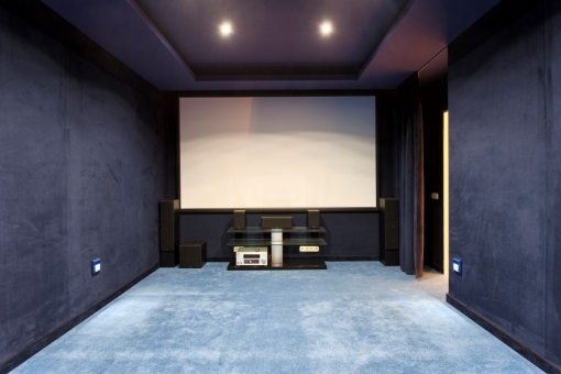 The home cinema with carpet flooring