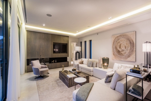 Tastefully decorated living area