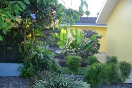 garden-with-tropical-plants