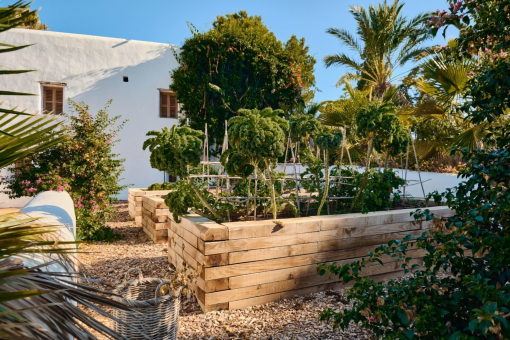 Vegetable garden