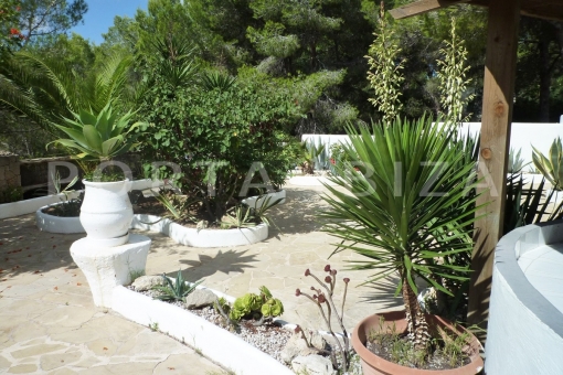 garden-nice house-Roca Llisa:Cala Llonga