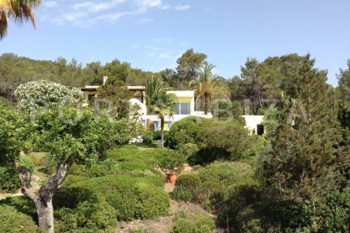 san carlos-villa- garden 