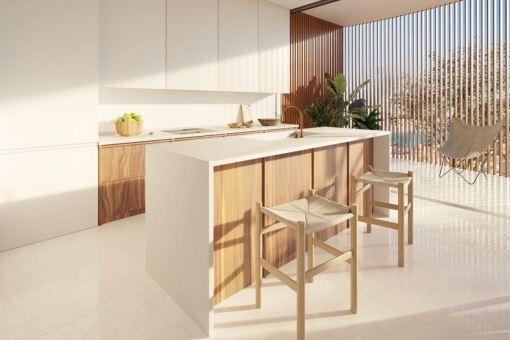 Modern kitchen with cooking islan
