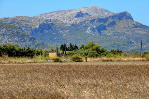 Grundstück in Alcudia