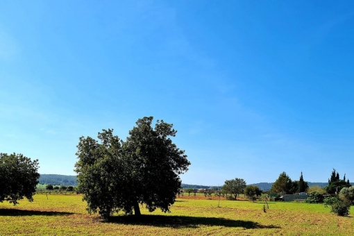 View of the property