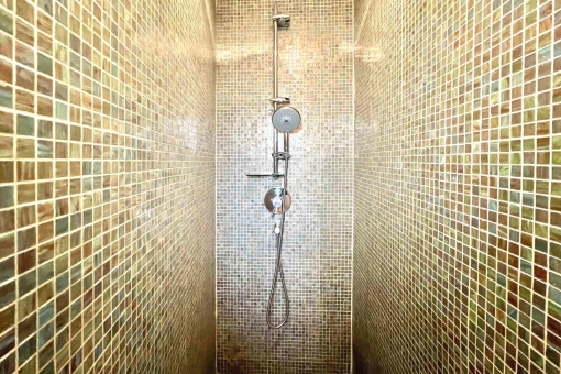Modern shower 