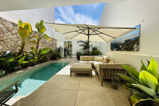 Patio and pool