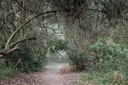 Entrance to the plot