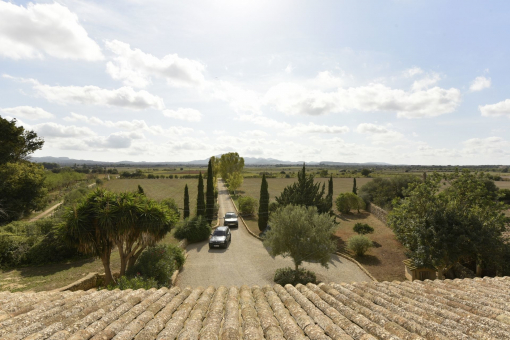 The way up to the finca