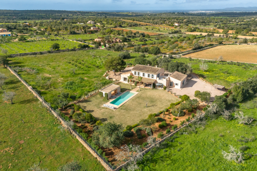 house in Cas Concos