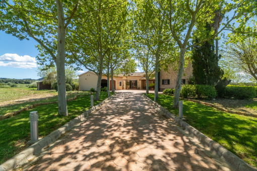 Driveway