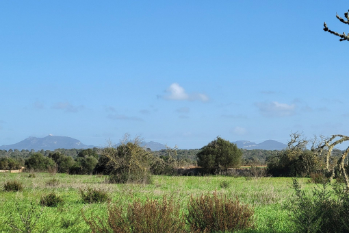 Blick zum San Salvador