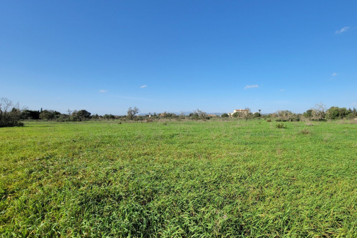 Blick bis zum Tramuntana Gebirge