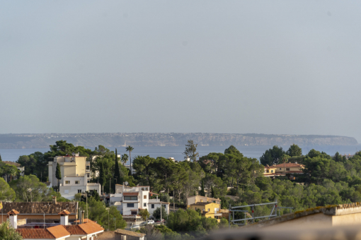 View from the rooftop terrace