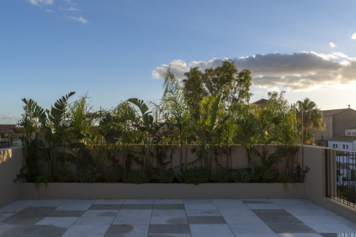 Private rooftop terrace