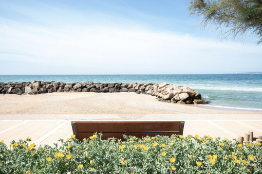 Molinar surroundings