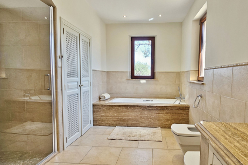 Third bathroom basement