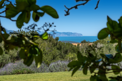 Naturaleza y vistas abiertas