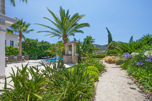 Mediterraner Garten