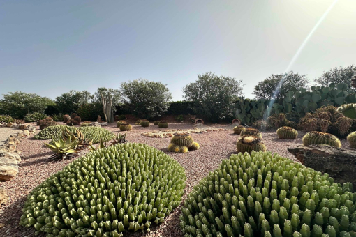 Jardín mediterráneo