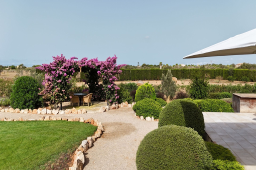 Jardín mediterráneo