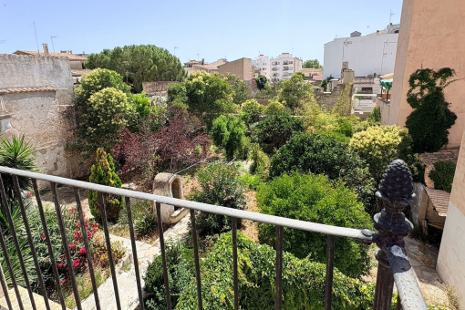 Vista desde la terraza