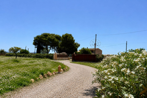 Acceso a la finca