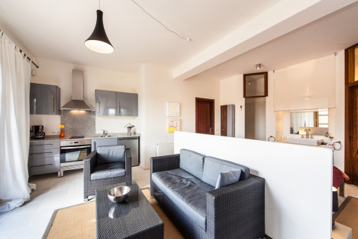 Open kitchen and living area