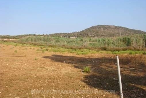 plot in Calvia for sale