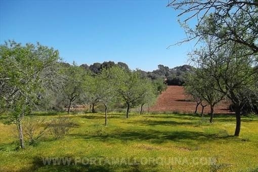 Picturesque land with planning permission for S'Alqueria Blanca