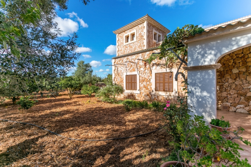 Romantic garden with fruit trees
