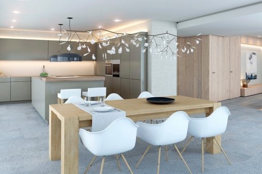 Modern kitchen and dining area