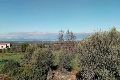 Views of the Tramuntana mountains