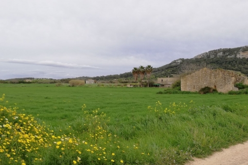The plot is situated between the villages Sineu and Sant Joan