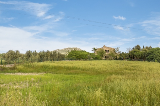 Large plot with lovely natural surroundings