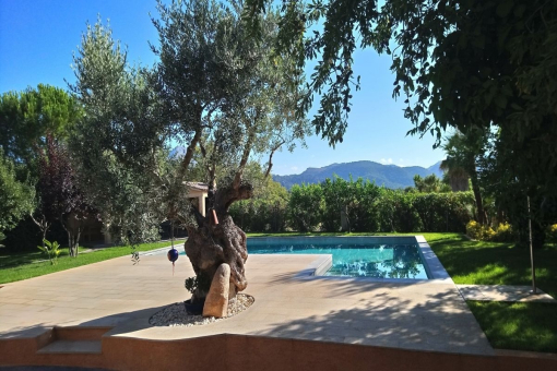 Idyllic pool area