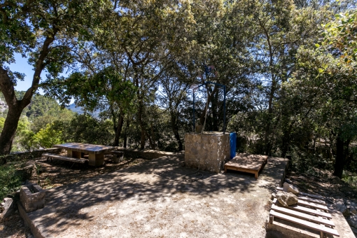 Tranquil outdoor area