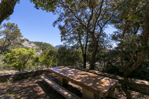 Idyllic terrace surrounded by nature