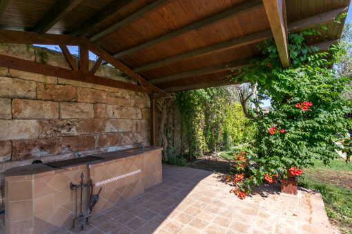 Garden with barbecue area