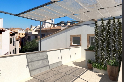 Sunny roof top terrace