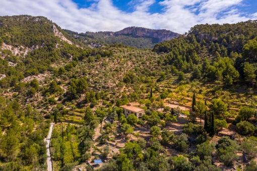 Idyllic surroundings of the finca