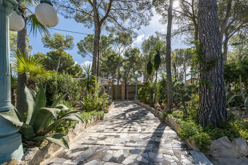 Access to the house