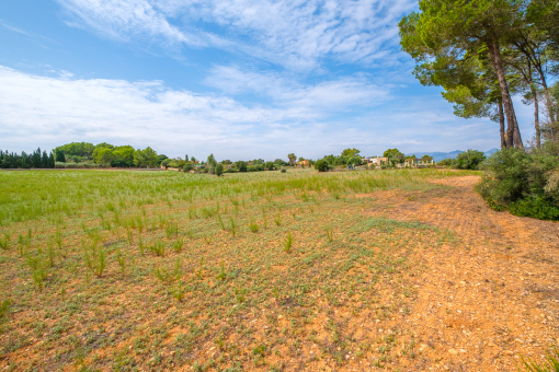 Alternative view of the plot