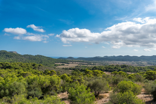 Splendid landscape views