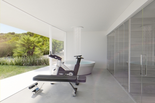 Fitness and Spa area