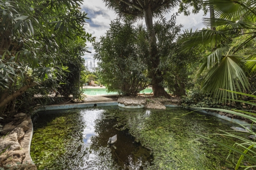 Idyllic garden pond next to the pool