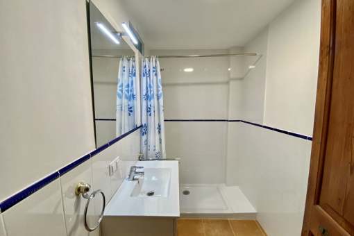 Small shower bathroom