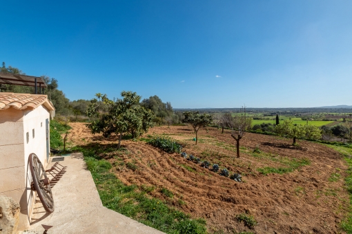 View over the plot