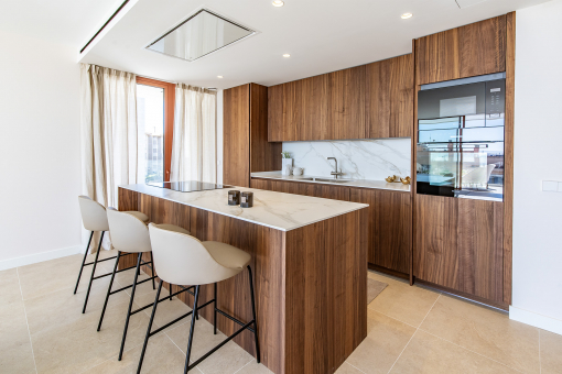 Open luxury kitchen