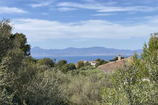 plot in Cala Blava